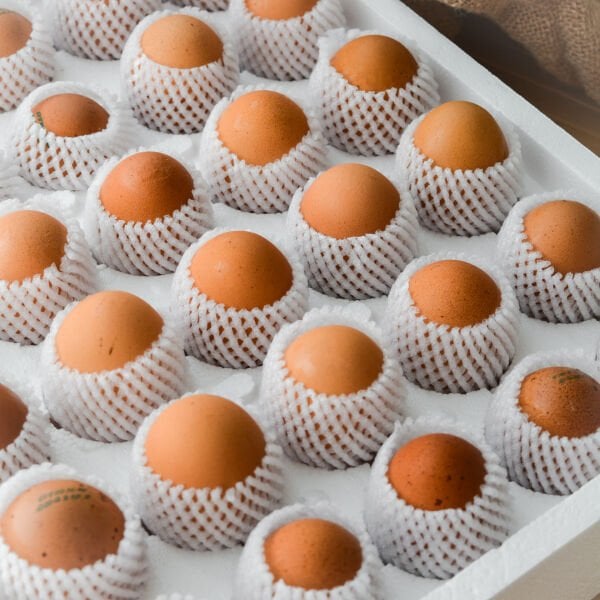 Sade Organik 30'lu Yumurta (Köpük Viyollü )